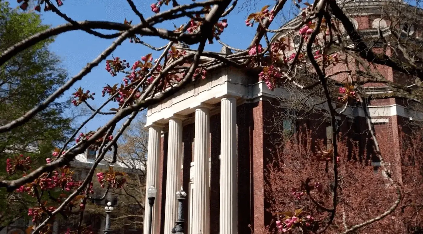columbia-video-image